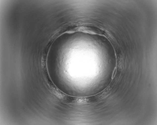 X0000071850569200607072304