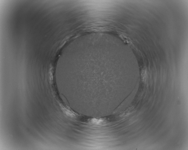 X0000071850570200607072304