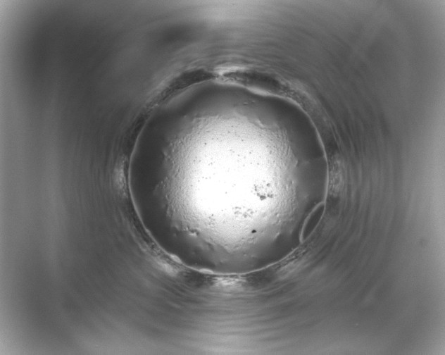 X0000071850573200607072304