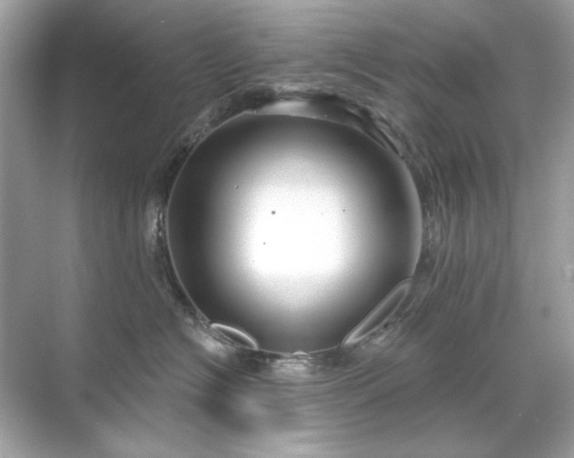 X0000071850574200607072304