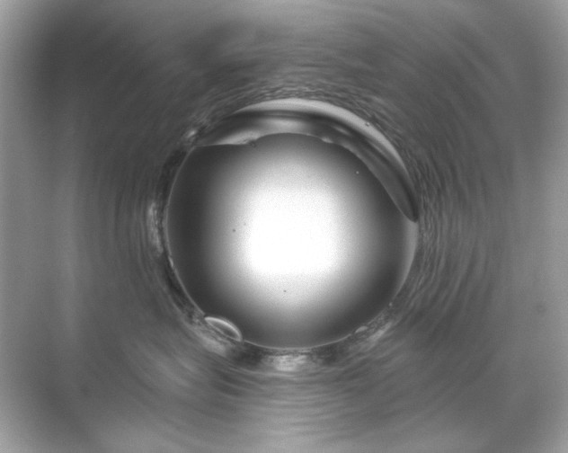 X0000071850575200607072304