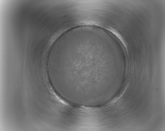 X0000071850577200607072304