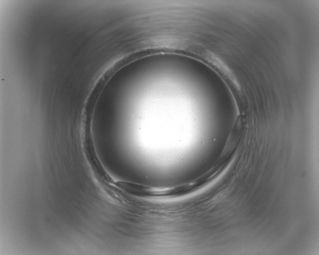 X0000071850580200607072304