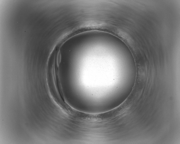 X0000071850582200607072304