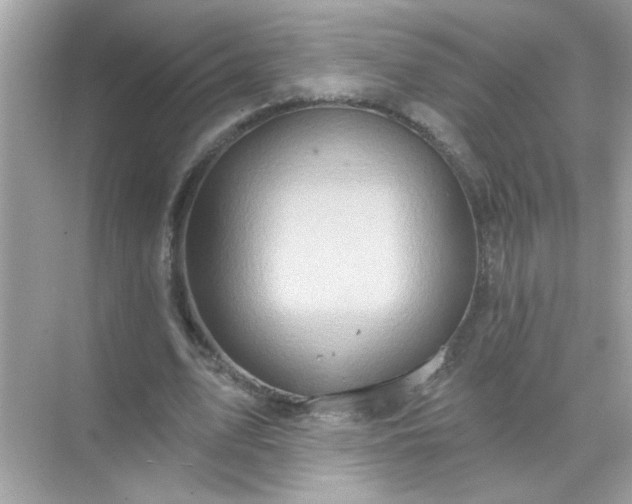 X0000071850583200607072304