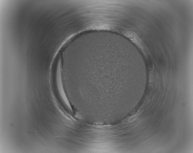 X0000071850584200607072303