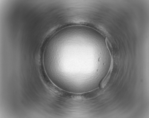 X0000071850587200607072303