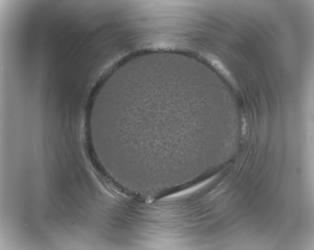 X0000071850588200607072303