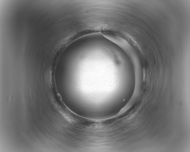 X0000071850589200607072303