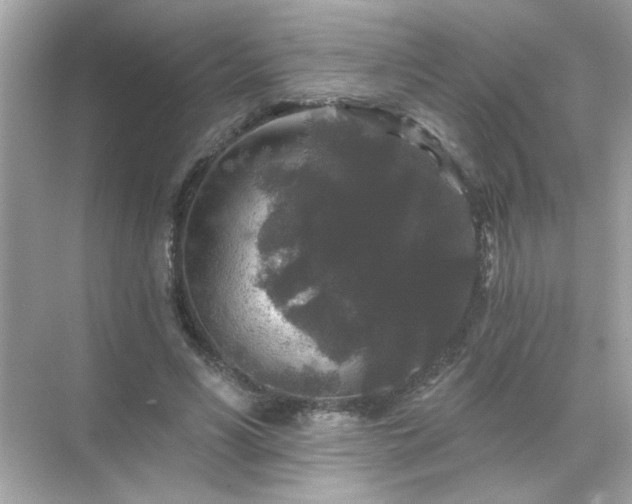 X0000071850590200607072303