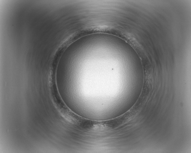 X0000071850591200607072303