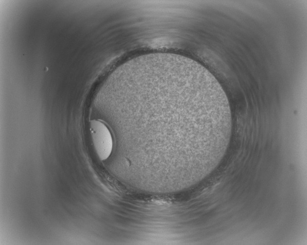 X0000071850592200607072303