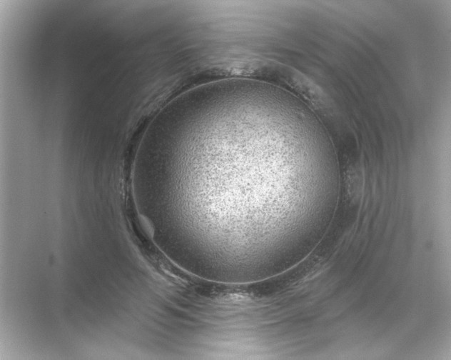 X0000071850594200607072303