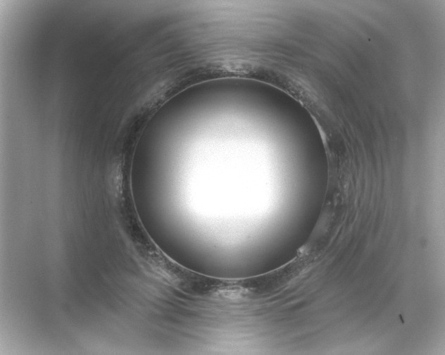 X0000071850595200607072303