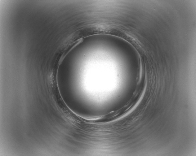 X0000071850597200607072303