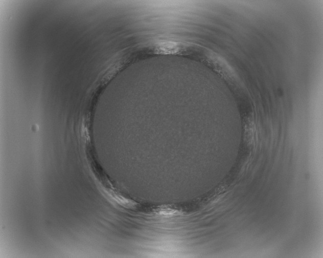 X0000071850598200607072303