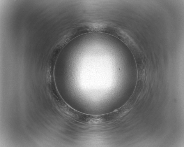 X0000071850599200607072303