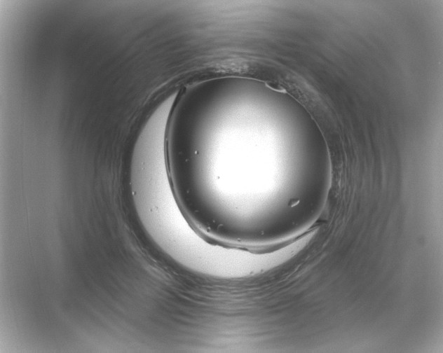 X0000071850600200607072303