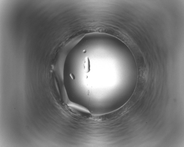 X0000071850602200607072303