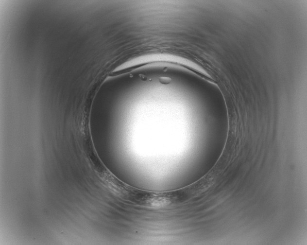 X0000071850604200607072303