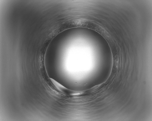 X0000071850605200607072303