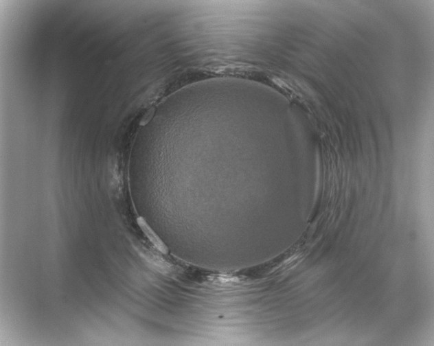 X0000071850607200607072303