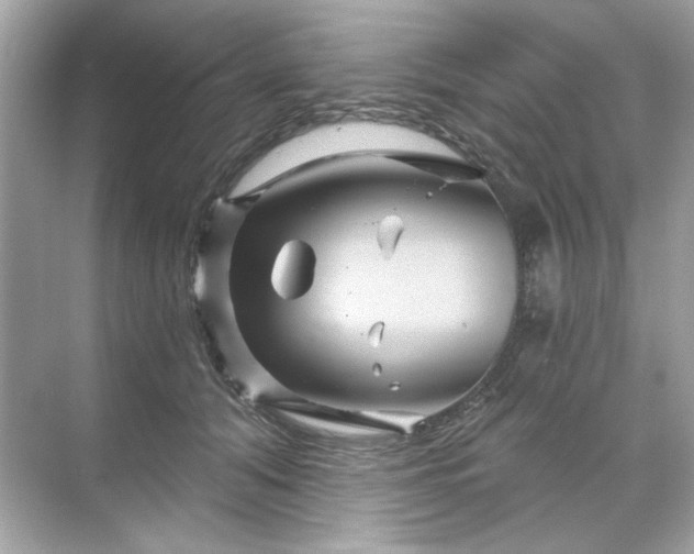 X0000071850608200607072303