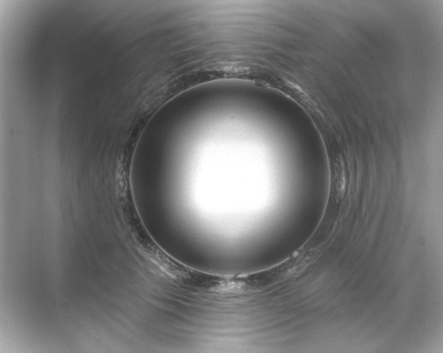 X0000071850609200607072303