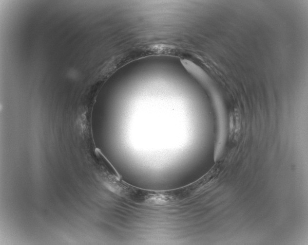 X0000071850611200607072303