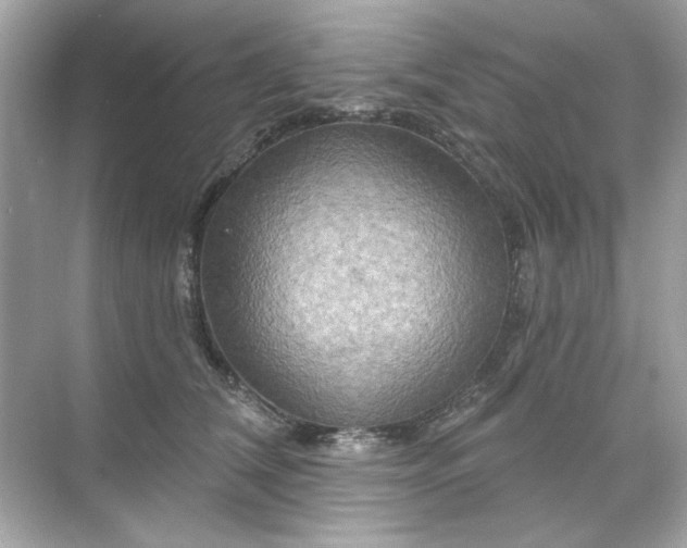 X0000071850612200607072303