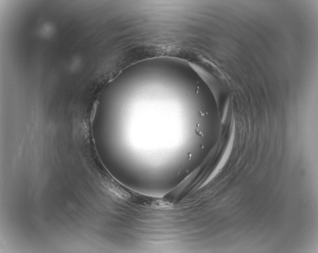 X0000071850613200607072303