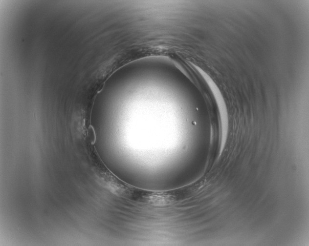 X0000071850615200607072303