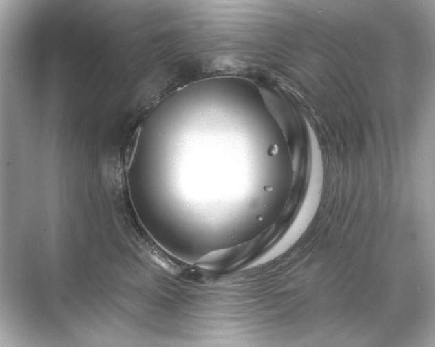 X0000071850617200607072303