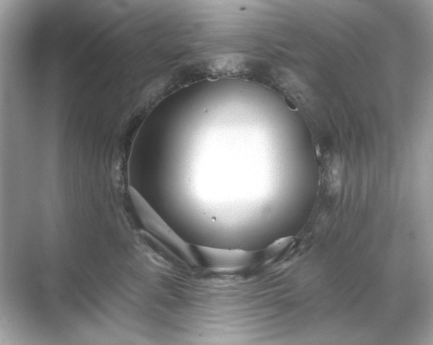 X0000071850619200607072303