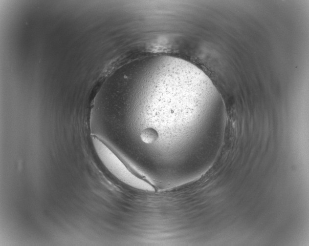 X0000071850620200607072303