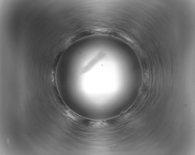 X0000071850621200607072303