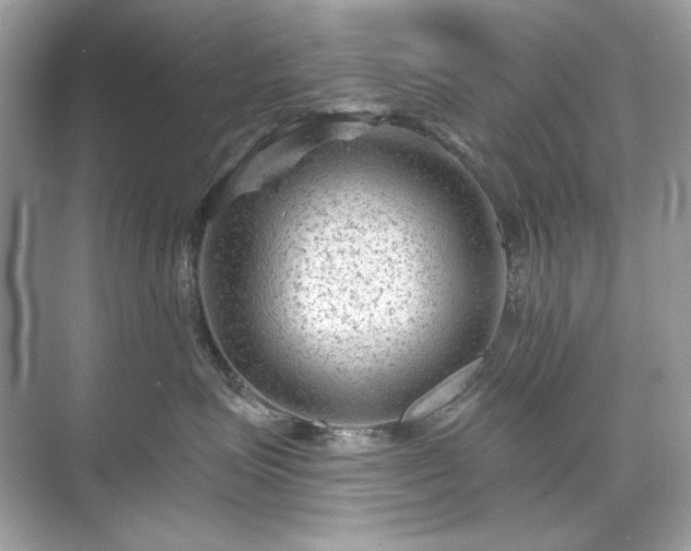 X0000071850623200607072303