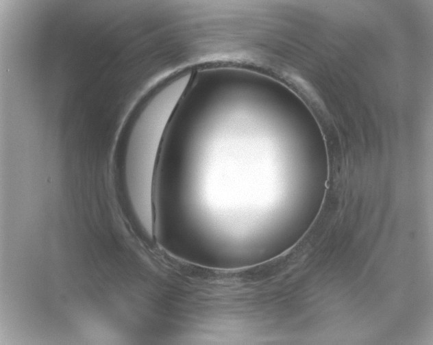 X0000071850628200607072302