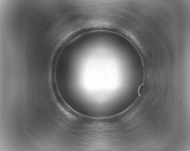 X0000071850629200607072302