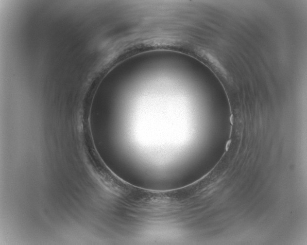 X0000071850631200607072302