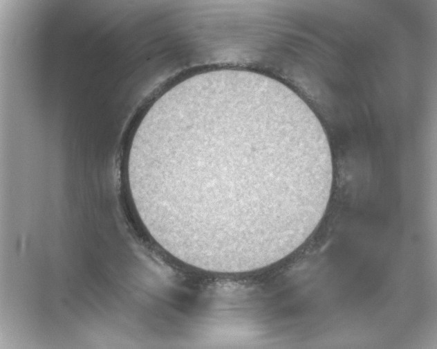 X0000071850632200607072302