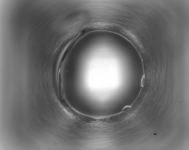 X0000071850633200607072302