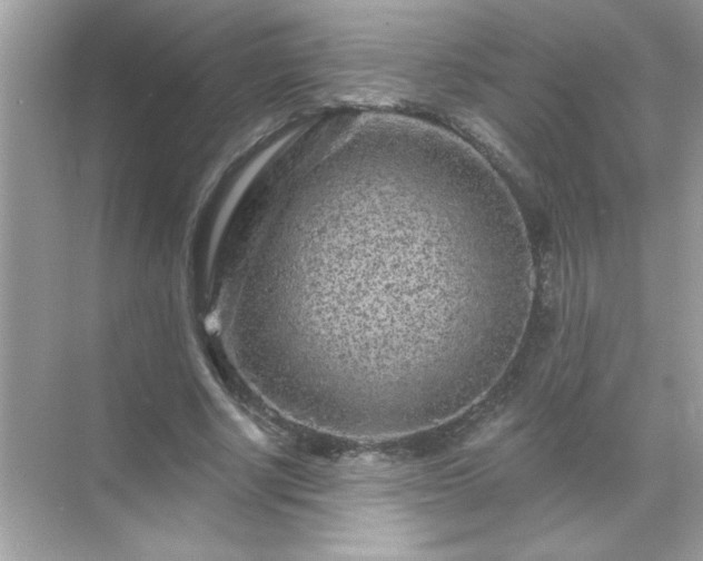 X0000071850634200607072302