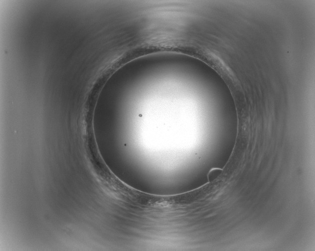 X0000071850635200607072302