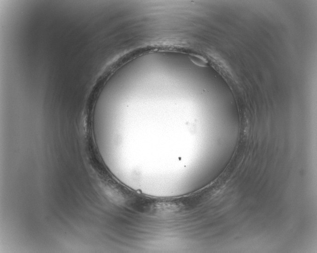 X0000071850636200607072302