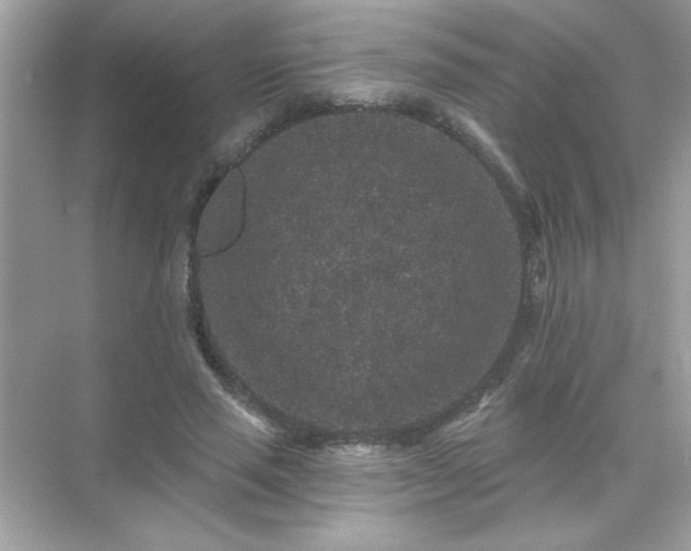 X0000071850637200607072302