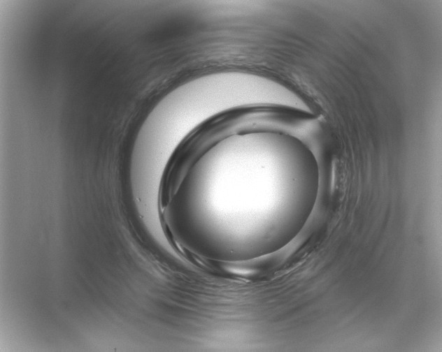 X0000071850639200607072302