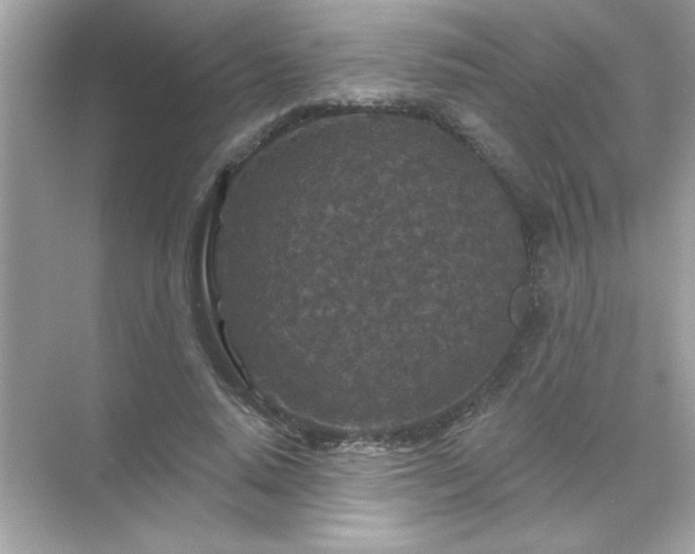 X0000071850640200607072302