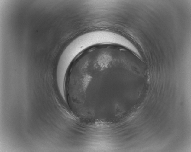 X0000071850641200607072302