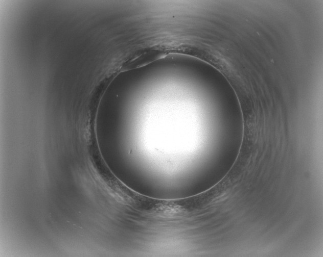 X0000071850642200607072302